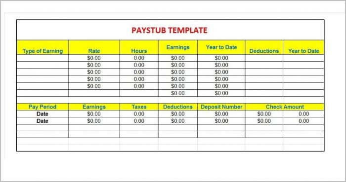 Pay Stub Template For 1099 Employee Templates 1 : Resume Examples