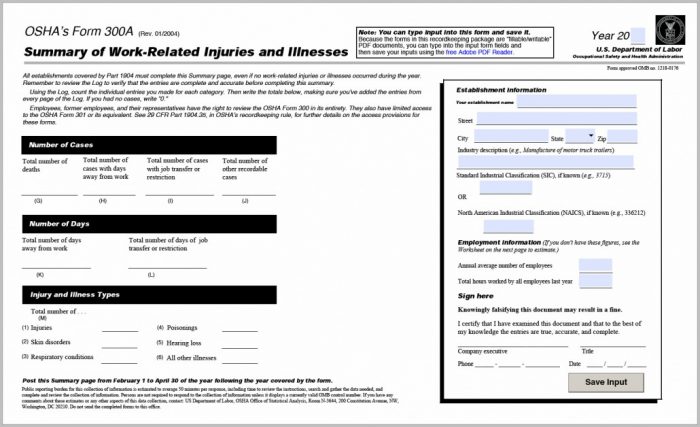 filling-out-osha-300a-formb-form-resume-examples