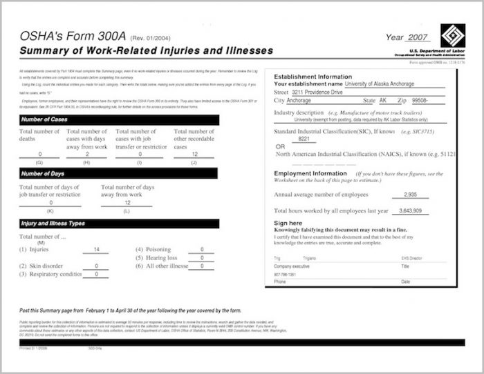 Completing The Osha 300a Form Form : Resume Examples