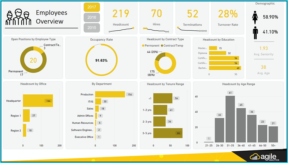 Hr Dashboard Power Bi Template