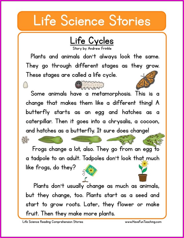 Human Life Cycle Worksheet Grade 4 Worksheet : Resume Examples