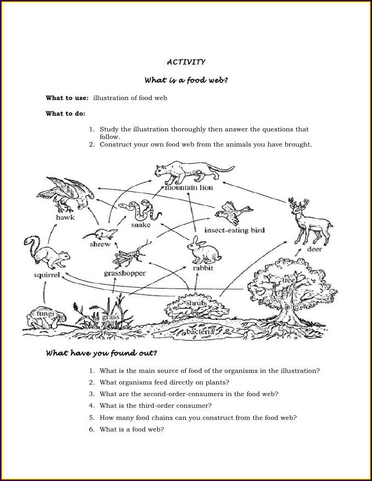 Food Chain Gizmo Answer Key Activity A Continued • Suggested And Clear ...