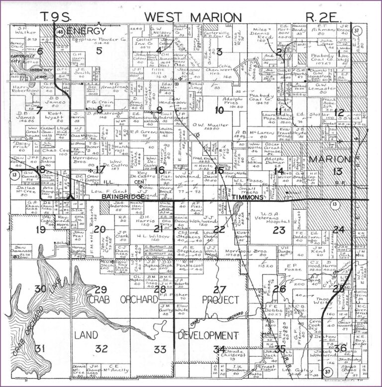 Illinois County Plat Maps Map : Resume Examples